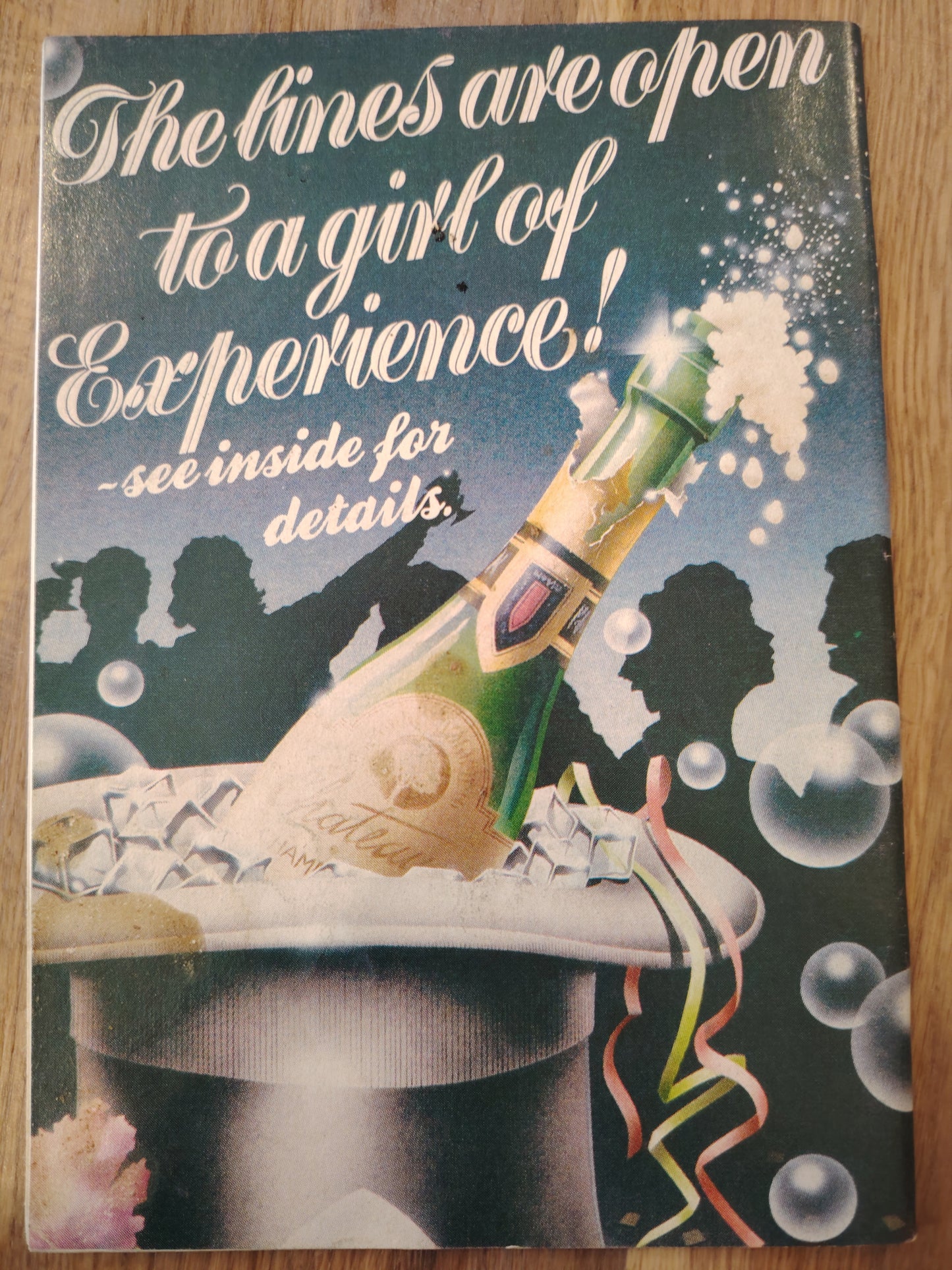 Silk Swingers - Vol 15 No.6