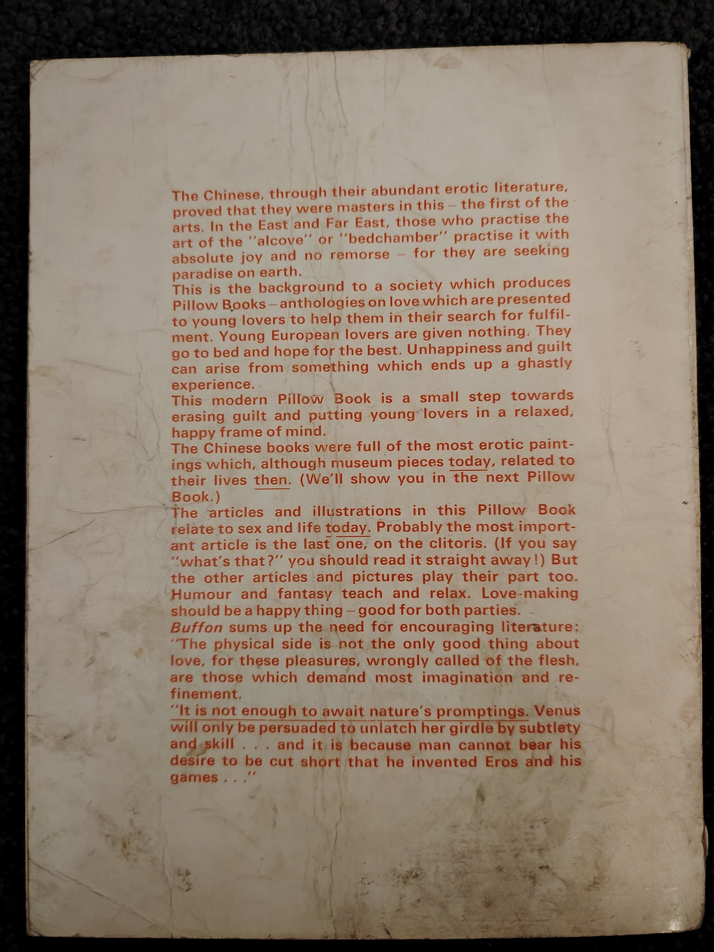 Curious Pillow Book