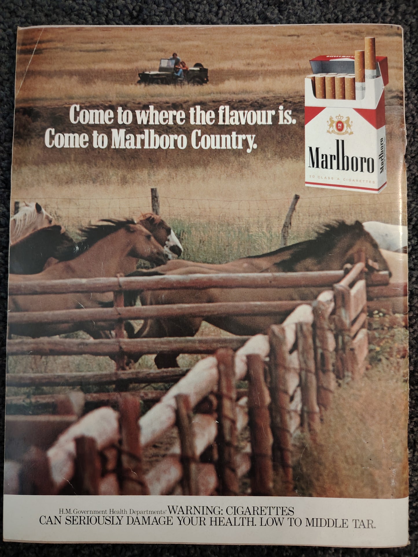 Club International - Volume 7 Number 6