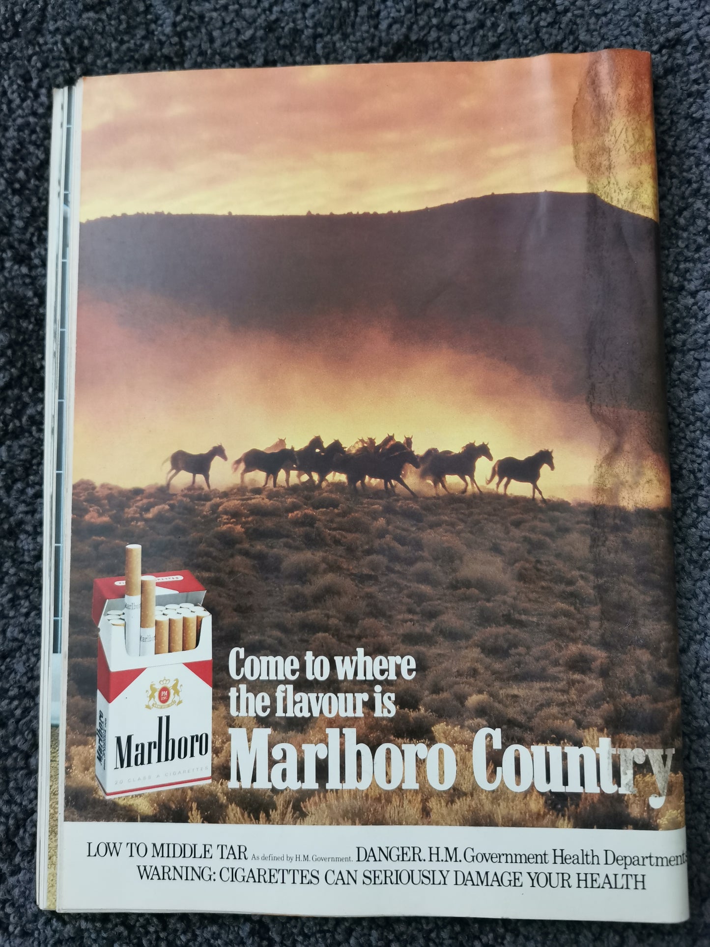 Mayfair - Vol 16 No.4