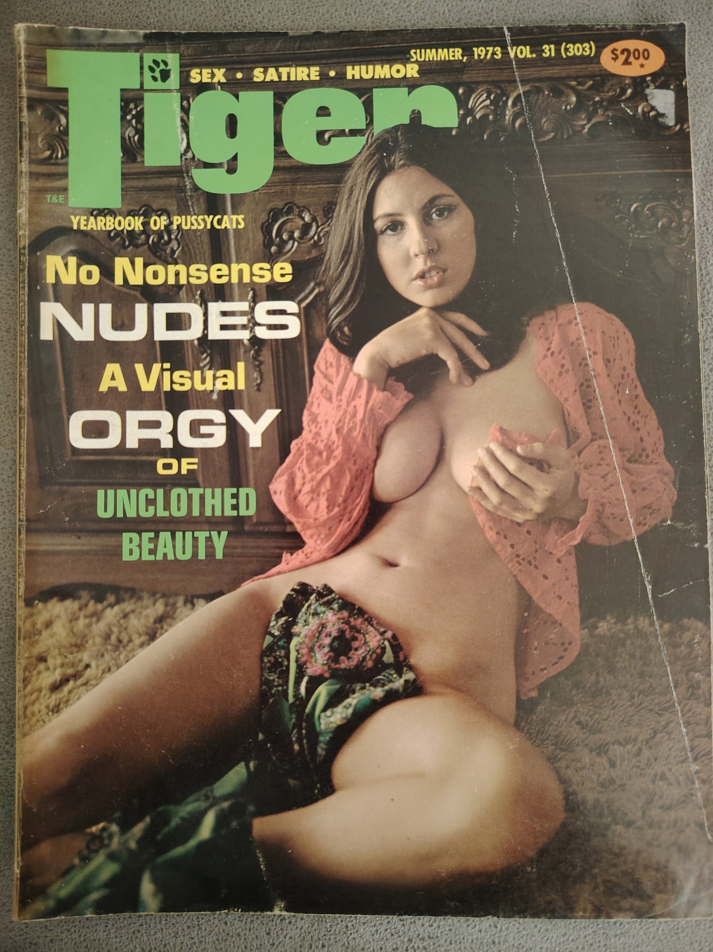 Tiger - Vol 31 (303) - Summer 1973