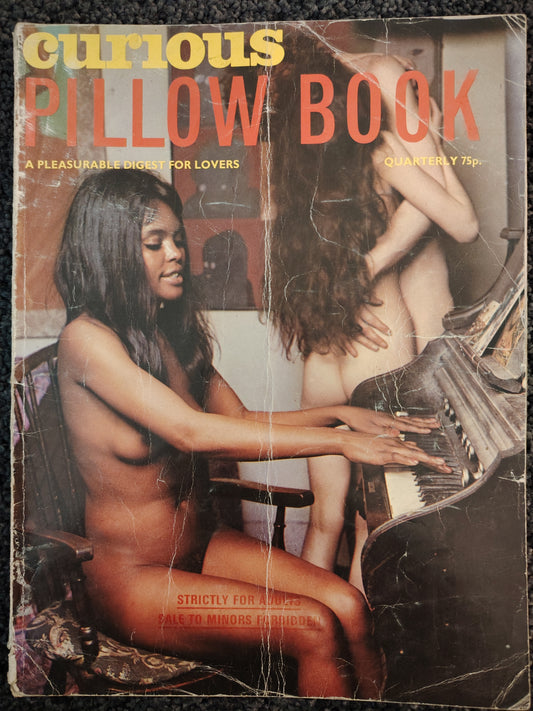 Curious Pillow Book