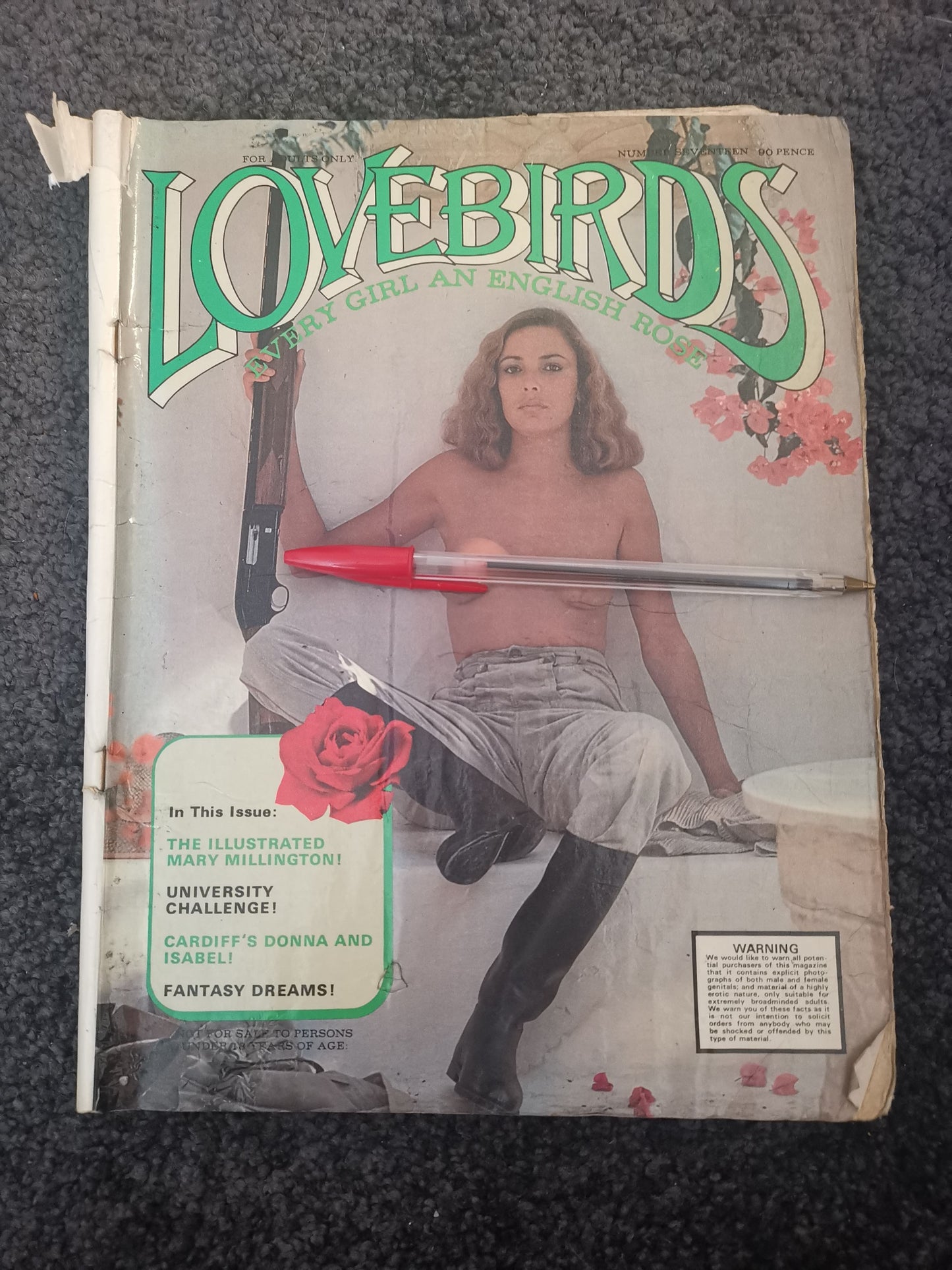 Lovebirds No.17